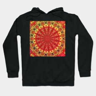 Fire In My Belly Hoodie